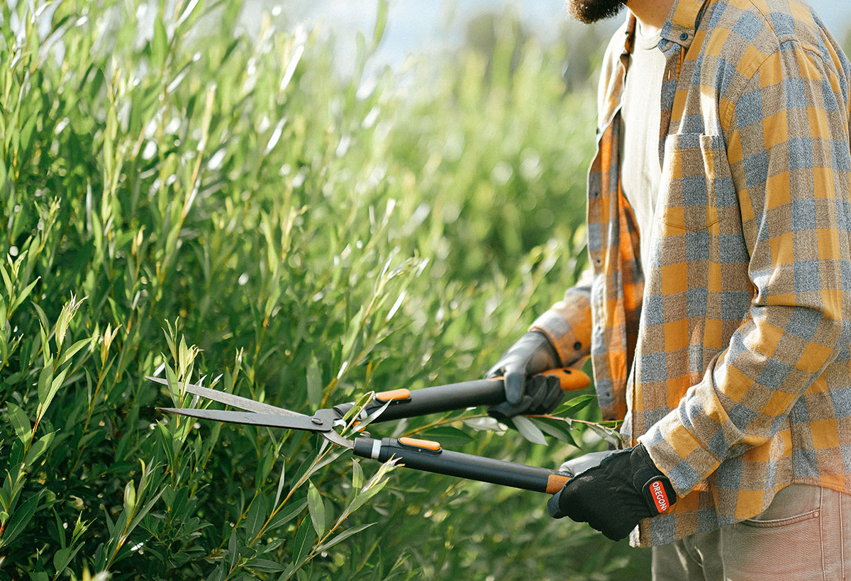 Agraria | Programa AQ 6.0 trabajar en Alemania Agraria